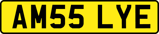 AM55LYE
