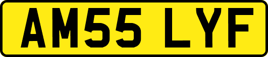 AM55LYF