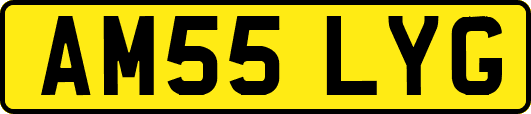 AM55LYG