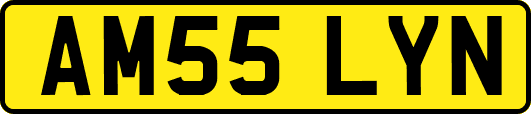 AM55LYN
