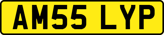 AM55LYP