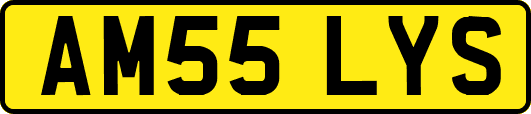 AM55LYS