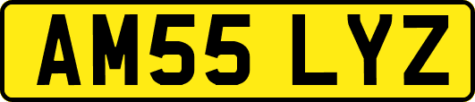 AM55LYZ