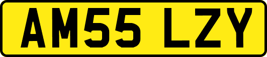 AM55LZY