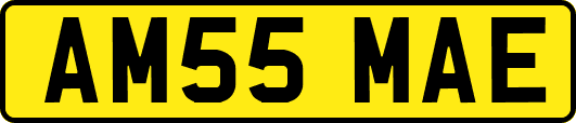 AM55MAE