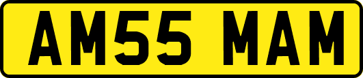 AM55MAM