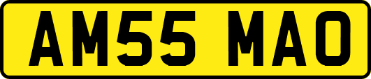 AM55MAO