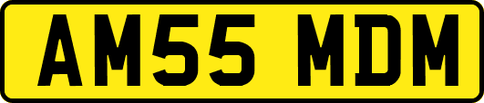 AM55MDM