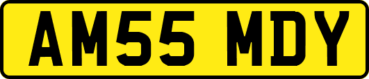 AM55MDY
