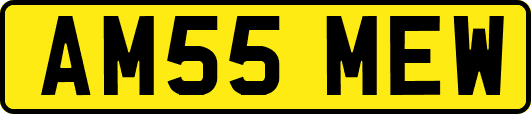 AM55MEW