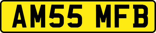 AM55MFB