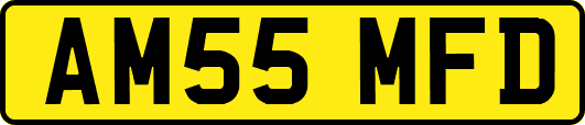 AM55MFD