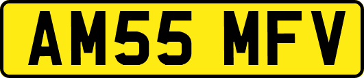 AM55MFV