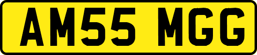 AM55MGG