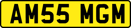 AM55MGM