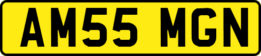 AM55MGN