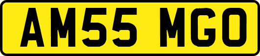 AM55MGO