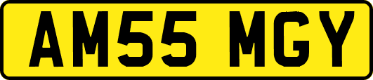 AM55MGY