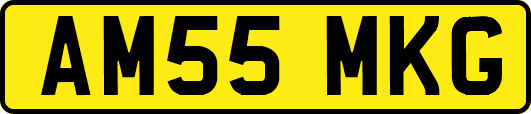 AM55MKG