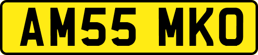 AM55MKO