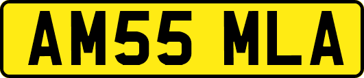 AM55MLA