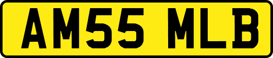 AM55MLB