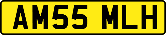 AM55MLH