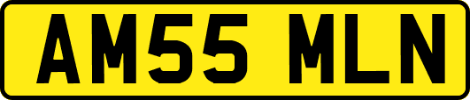 AM55MLN