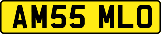 AM55MLO