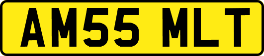 AM55MLT