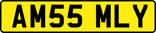 AM55MLY