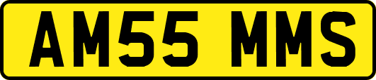 AM55MMS