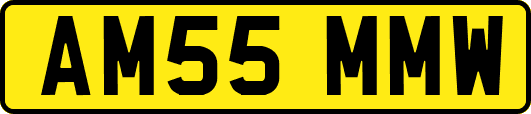 AM55MMW