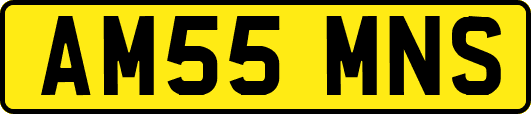 AM55MNS