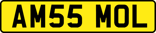 AM55MOL