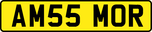 AM55MOR