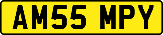 AM55MPY