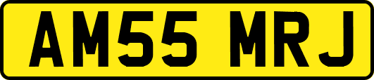 AM55MRJ