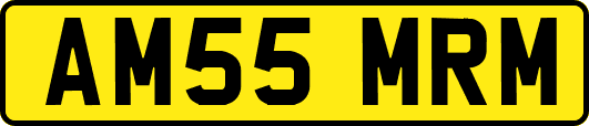 AM55MRM