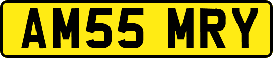 AM55MRY