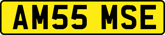 AM55MSE