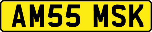 AM55MSK