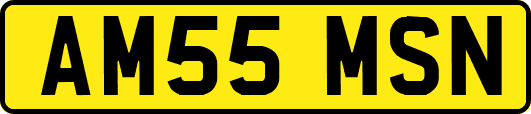 AM55MSN