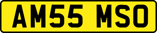 AM55MSO