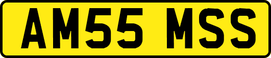 AM55MSS
