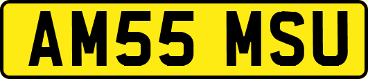 AM55MSU