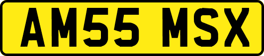 AM55MSX