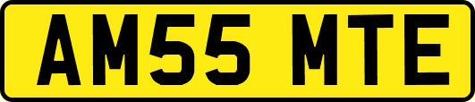AM55MTE