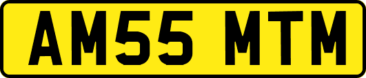 AM55MTM