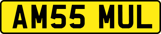 AM55MUL